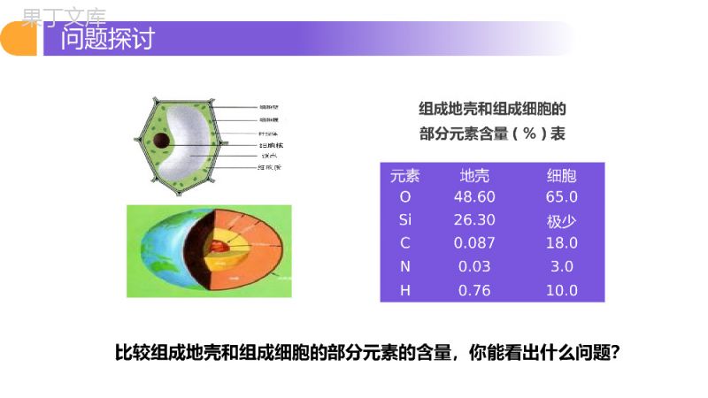 《细胞中的元素和化合物》人教版必修高一生物PPT课件.pptx