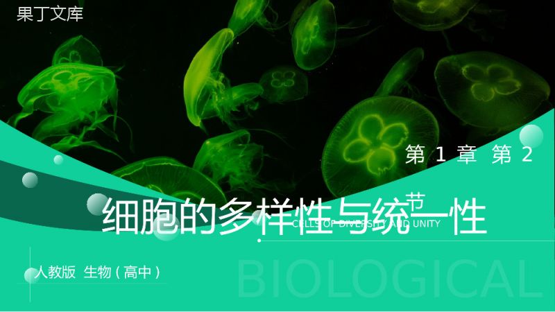 《细胞的多样性与统一性》人教版必修高一生物PPT课件.pptx