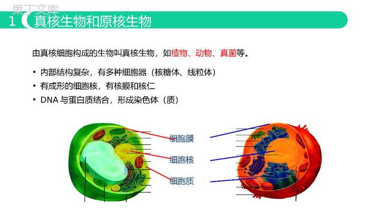 《细胞的多样性与统一性》人教版必修高一生物PPT课件.pptx