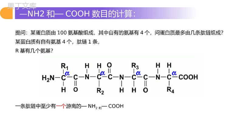 《遗传信息的携带者（核酸）》人教版必修高一生物PPT课件.pptx