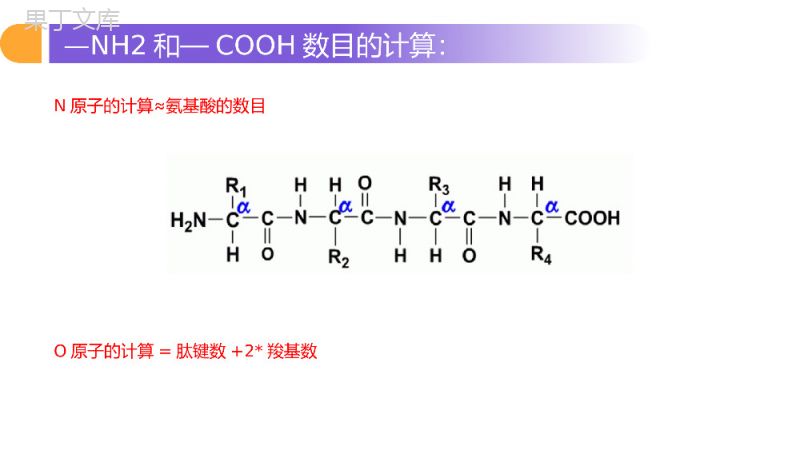 《遗传信息的携带者（核酸）》人教版必修高一生物PPT课件.pptx