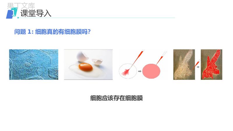 《细胞膜（系统的边界）》人教版必修高一生物PPT课件.pptx