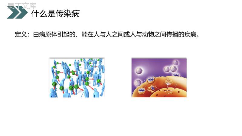 《传染病及其预防》人教版初中生物八年级初二下册PPT课件.pptx