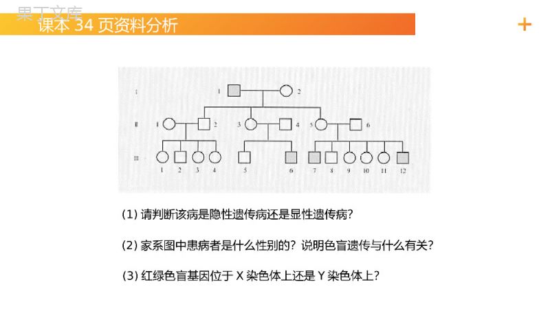 《伴性遗传（1）》高一下册生物必修二PPT课件（第2.3.1课时）.pptx