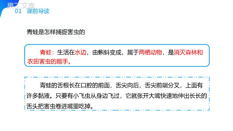 《小青蛙》小学语文一年级下册PPT课件（第1.3课时）.pptx