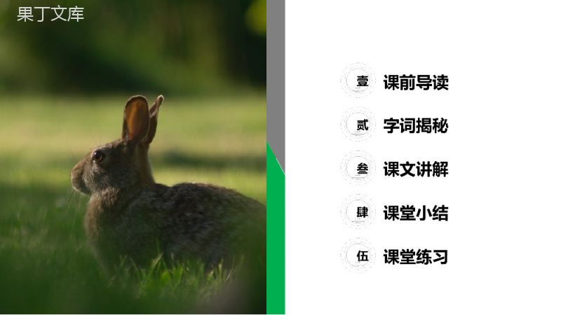 《守株待兔》小学三年级语文下册精品PPT课件.pptx