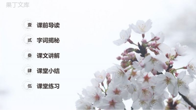 《三月桃花水》人教版四年级语文下册精品PPT课件.pptx