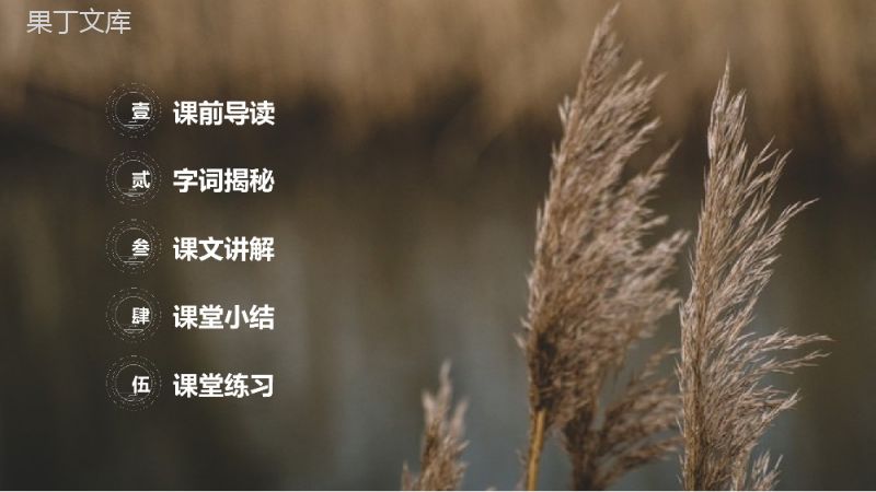《芦花鞋》人教版四年级语文下册精品PPT课件.pptx