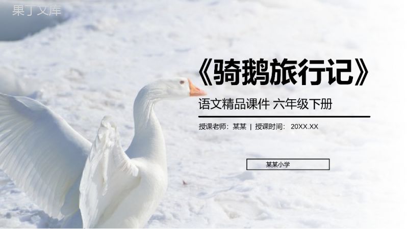 《骑鹅旅行记》人教版六年级语文下册精品PPT课件.pptx