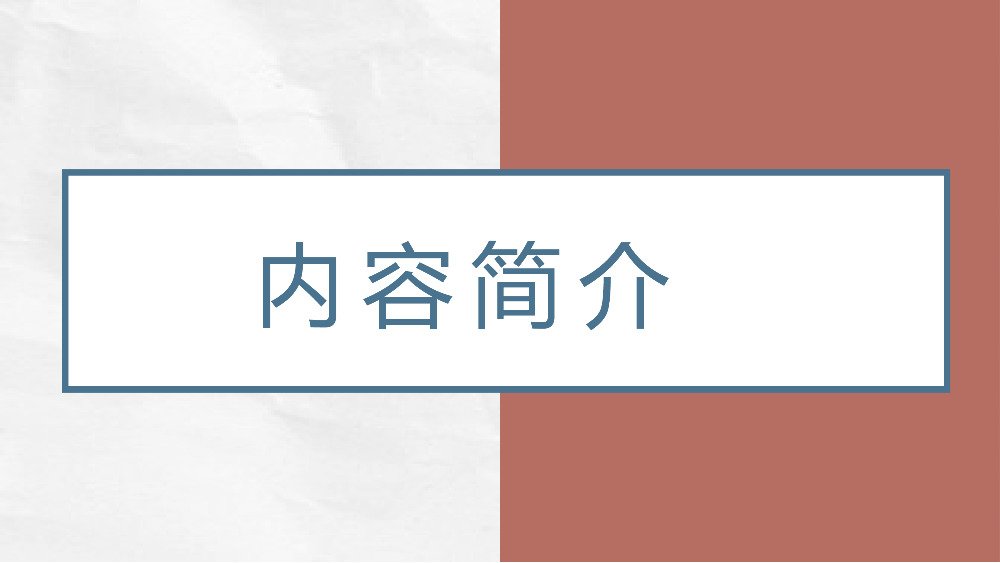 《追风筝的人》卡勒德胡赛尼内容简介励志书籍PPT模板.pptx