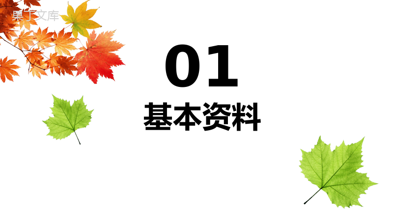 清新淡雅树叶个人简历求职竞聘PPT模板.pptx