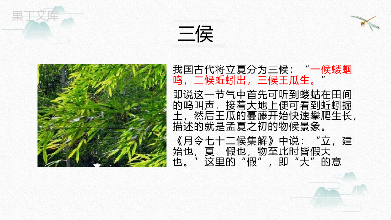白色简约中国风传统节气立夏节日介绍PPT模板.pptx