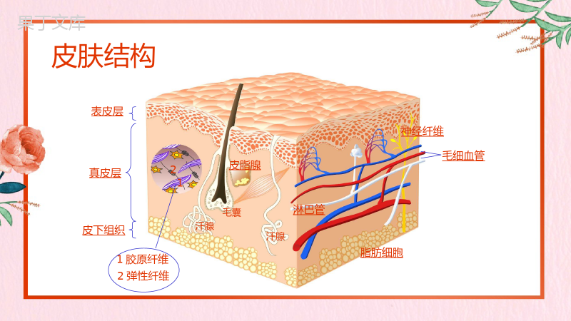 粉色系列日常美容小知识PPT模板.pptx