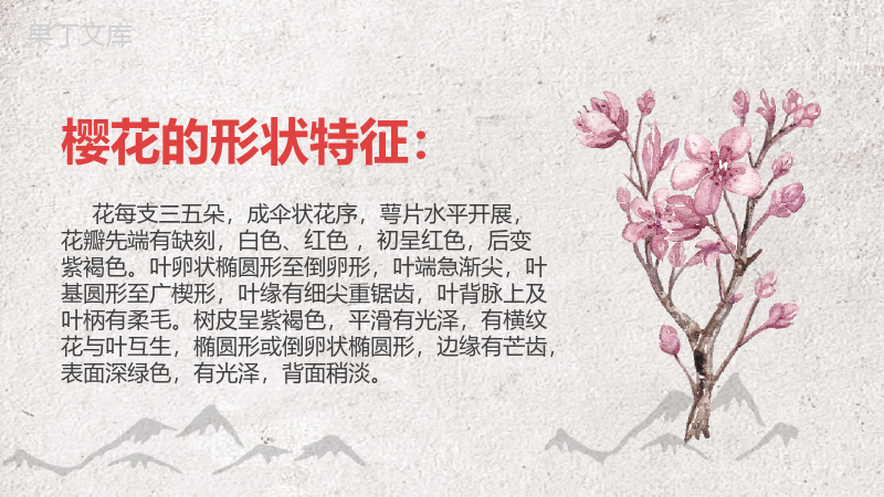 古典中国风通用樱花节PPT模板.pptx