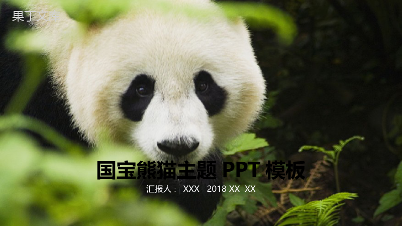 国宝熊猫主题述职报告活动宣传PPT模板.pptx