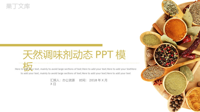 简洁简约食品调味剂宣传策划汇报新年计划PPT模板.pptx