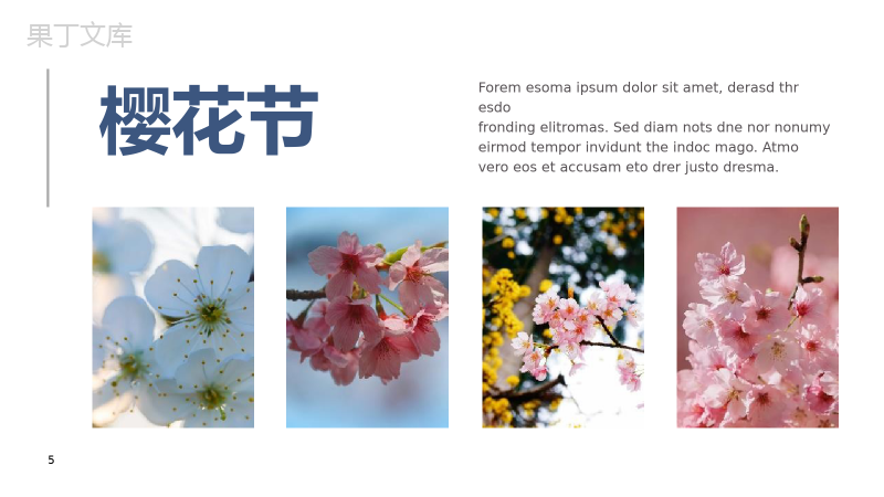 遇见樱花樱花节旅游相册樱花节PPT模板.pptx