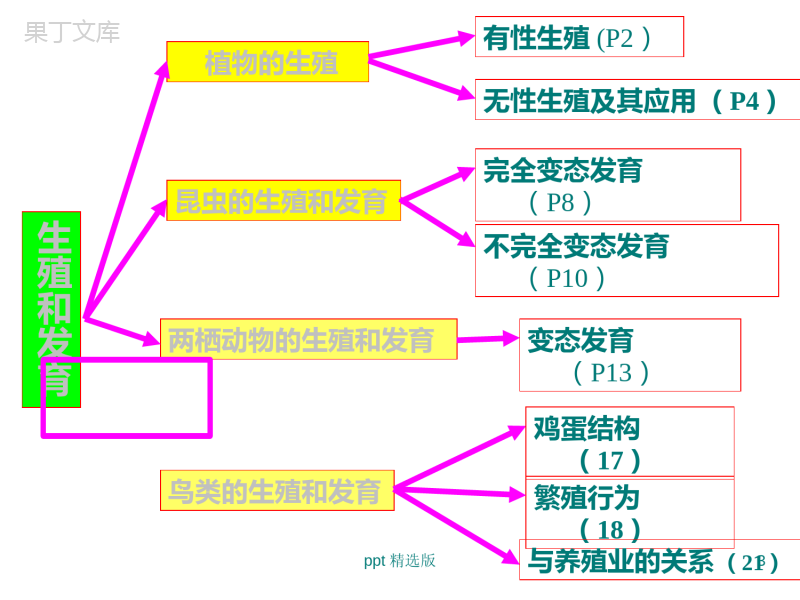 人教版八年级下册生物复习完整(共91张1)ppt课件