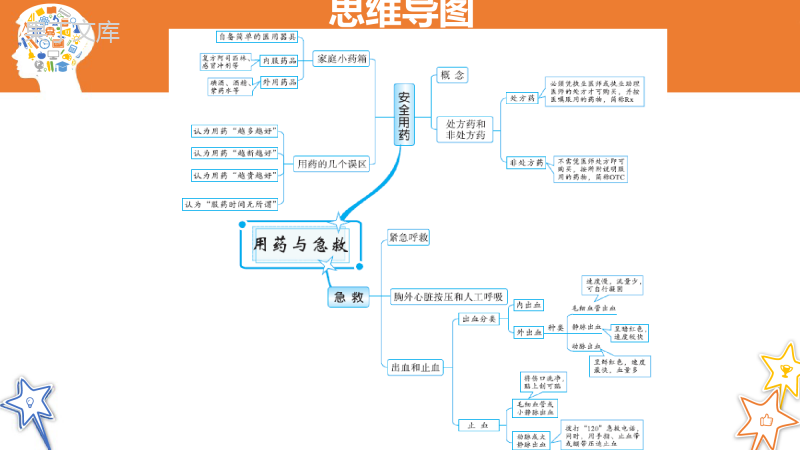 人教版八年级生物下册《思维导图-用药与急救》课件