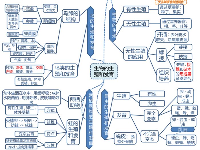 人教版初中生物八年级下册思维导图-生物的生殖和发育