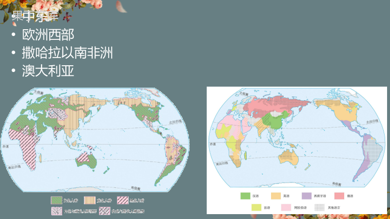2023年中考地理一轮复习课件：东半球其他的地区和国家
