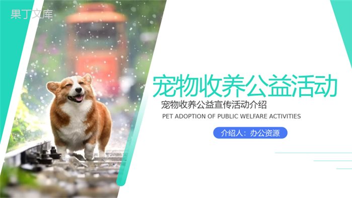 宠物收养公益活动策划方案步骤PPT模板.pptx