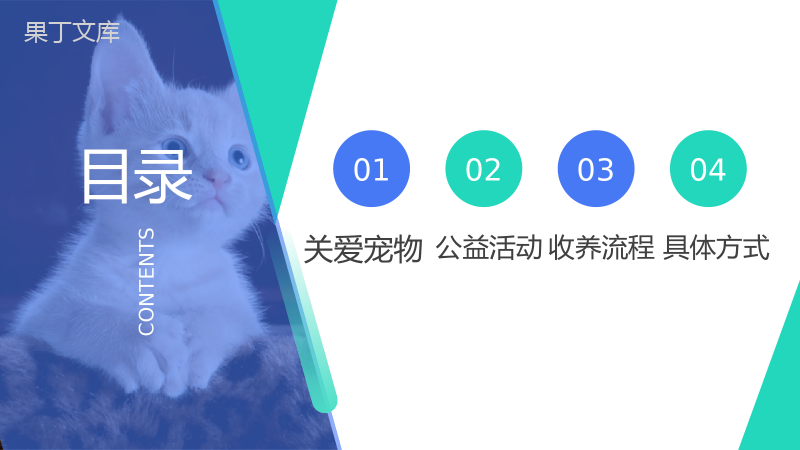宠物收养公益活动策划方案步骤PPT模板.pptx