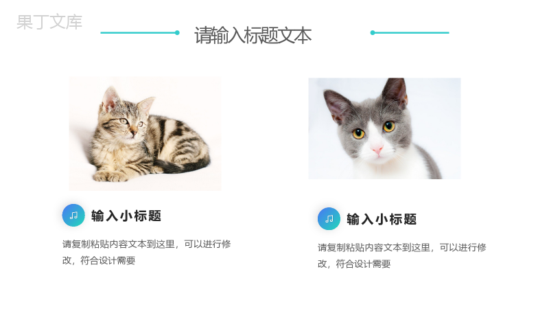 宠物收养公益活动策划方案步骤PPT模板.pptx