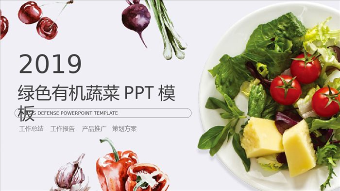 简约商务绿色有机蔬菜产品推广活动策划PPT模板.pptx