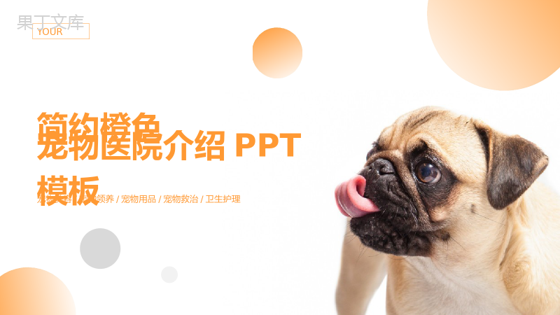 简约橙色宠物医院介绍PPT模板.pptx