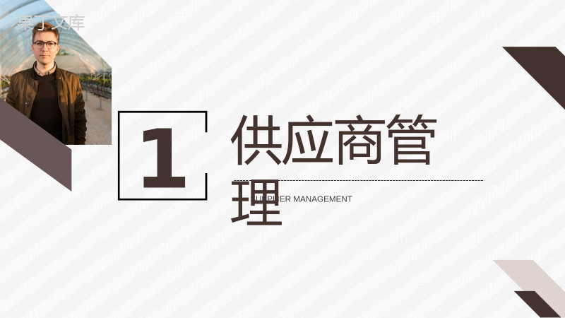 采购部门SQE管理体系介绍职业价值分析供应商管理要求PPT模板.pptx