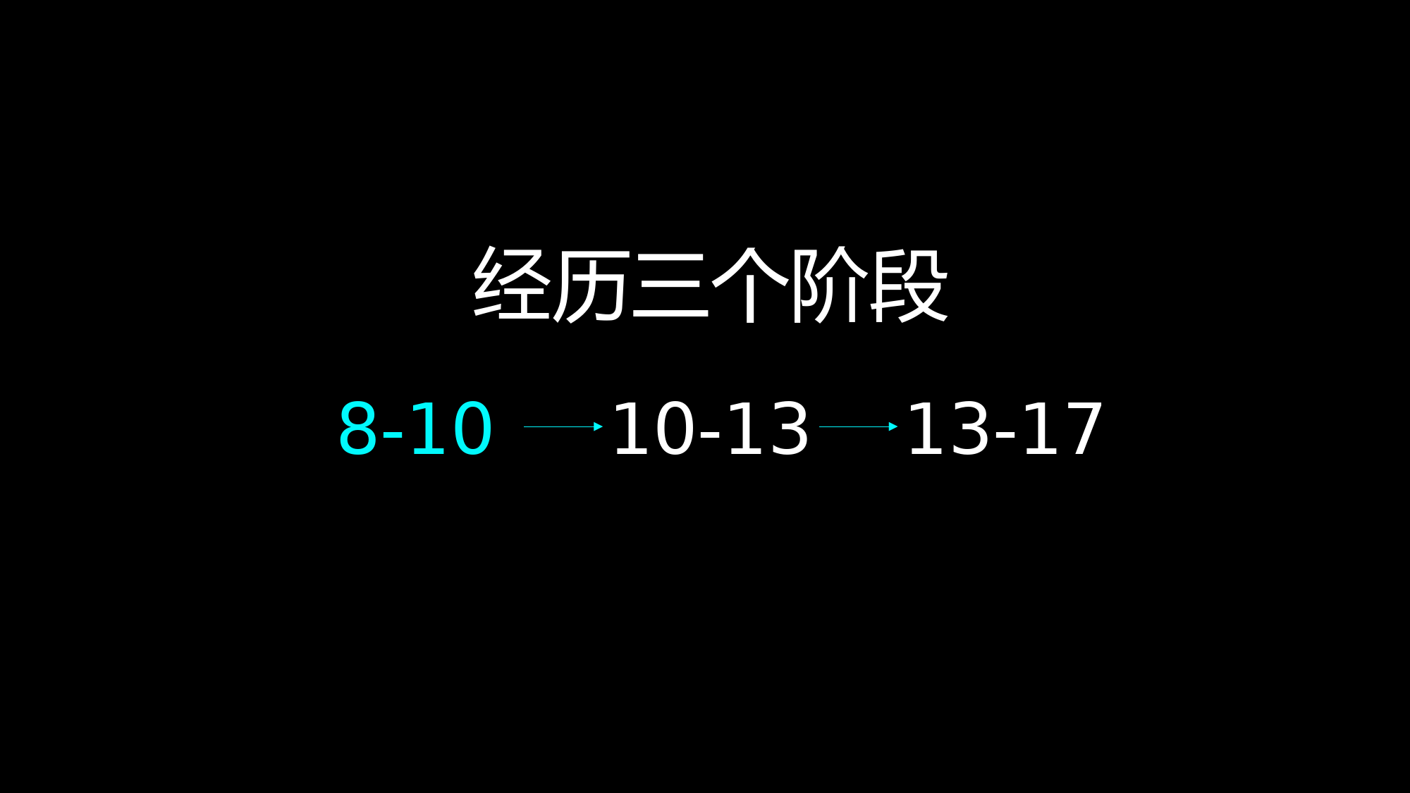 黑色简约个人工作汇报演示PPT模板