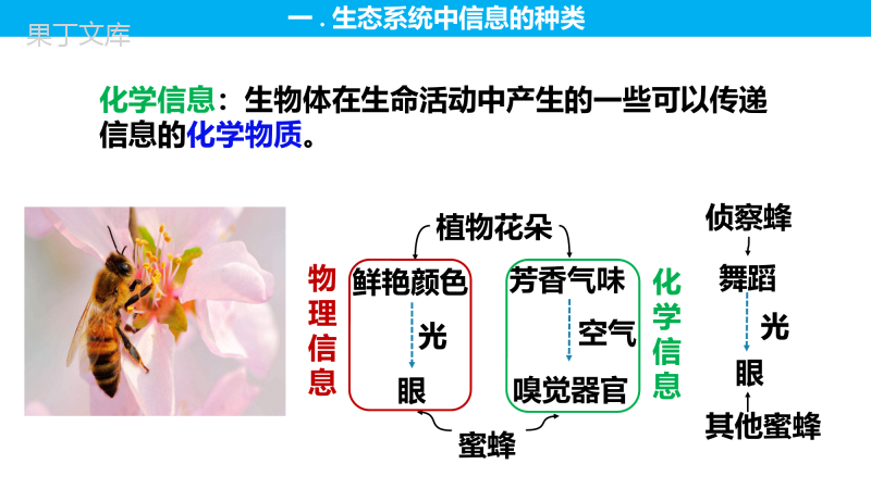 生态系统的信息传递