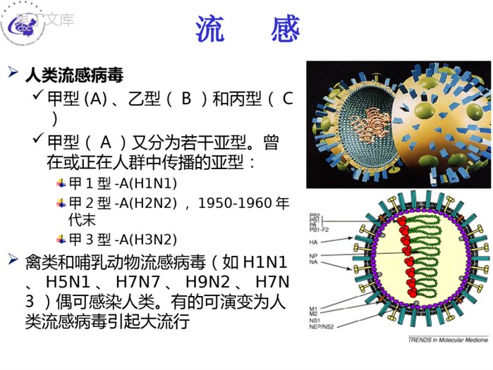 中国流感防控现状和挑战