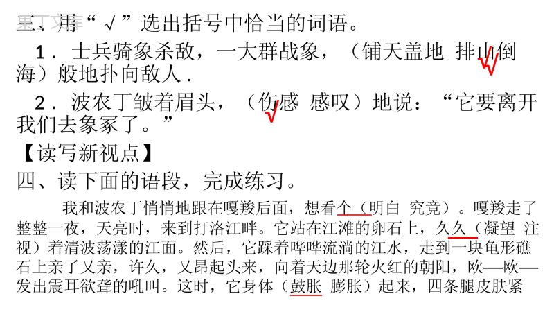 人教版六年级语文上册长江作业本23最后一头战象答案