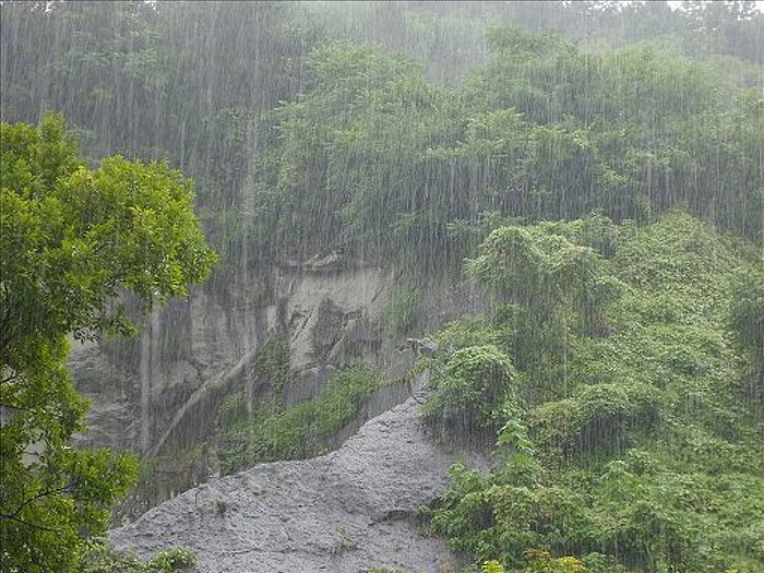 小学六年级上册《山雨》