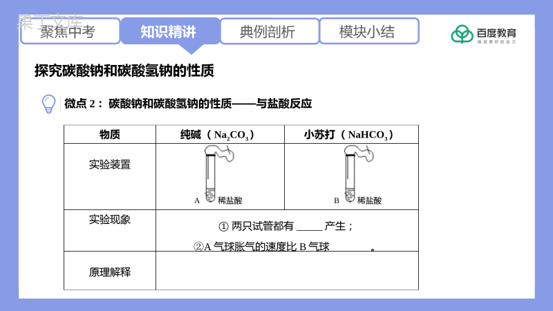 2021-2022初中化学专题复习(探究碳酸钠和碳酸氢钠的性质)精品课件