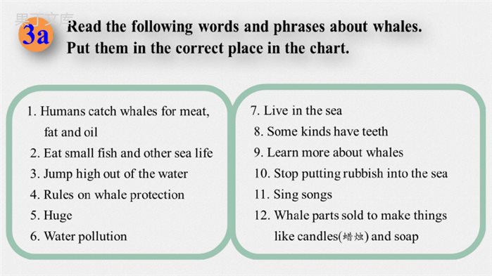 八下英语-Unit-7(3a-3c)-写作课(保护鲸鱼)