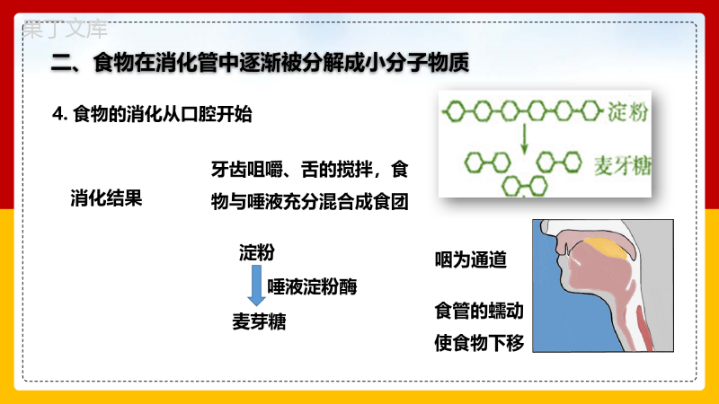 初中生物北师大版七年级下册《第8章第2节第2课时食物的消化和营养物质的吸收》课件