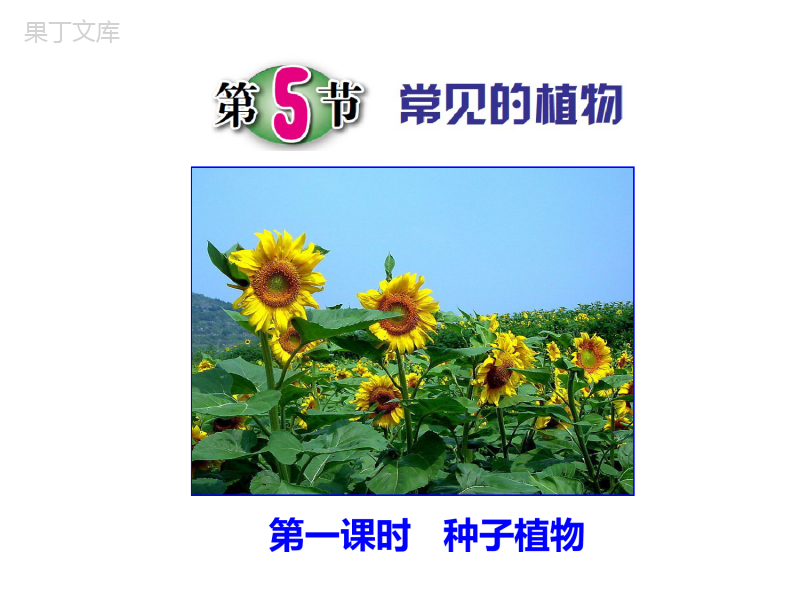 浙教版科学七年级上册第二章第5节常见的植物(第一课时)