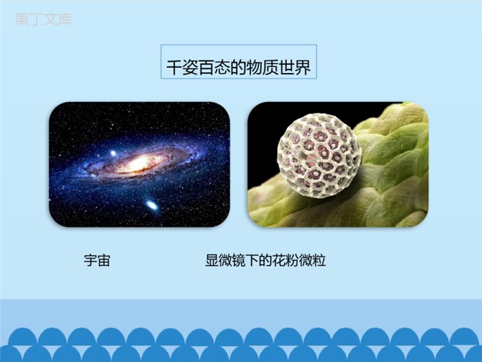 鲁教版(五四制)八年级全一册-1 (1)