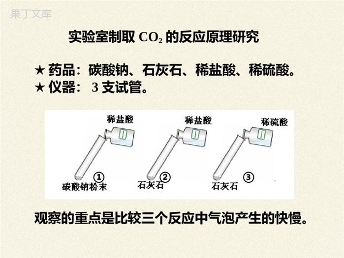鲁教版(五四制)八年级全一册-到实验室去-二氧化碳的实验室制取与性质(1)(课件)