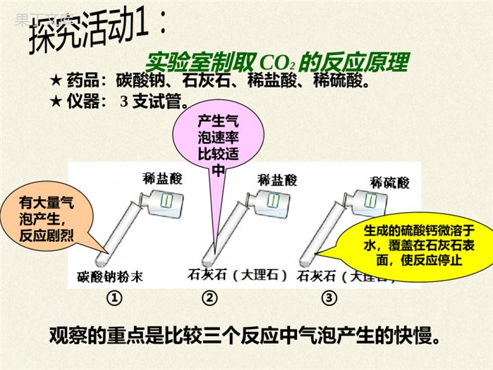 鲁教版(五四制)八年级全一册-到实验室去-二氧化碳的实验室制取与性质(2)(课件)