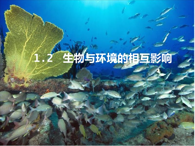 1.2-生物与环境的相互影响