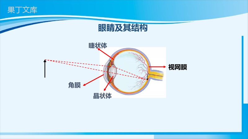 2022-2023学年人教版物理八年级上册-5 (2)