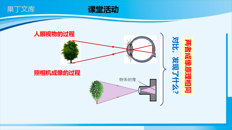 2022-2023学年人教版物理八年级上册-5 (2)