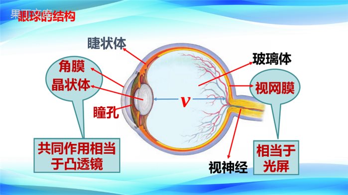 2022-2023学年人教版物理八年级上册-5 (6)