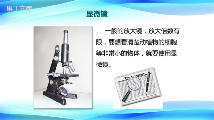 2022-2023学年人教版物理八年级上册-5