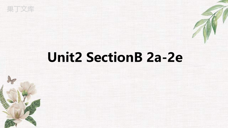 2022-2023学年人教版英语九年级全册-Unit2-SectionB-2a-2e-课件