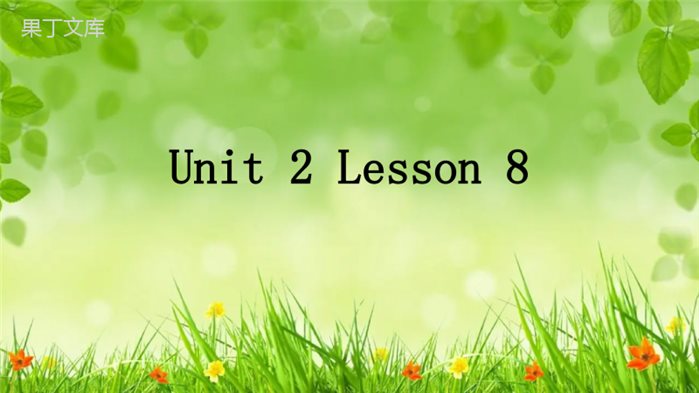 2022-2023学年英语冀教版九年级全册-Unit-2-Lesson-8-课件